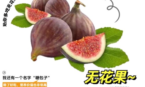 维生素b6对哺乳有影响吗-哺乳期可以吃维生素b6妈妈网—知名的维生素b6对哺乳有影响吗网站,分享维生素b6对哺乳有影响吗知识